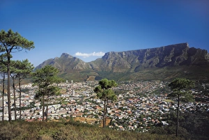 Images Dated 7th December 2007: Cape town, South Africa