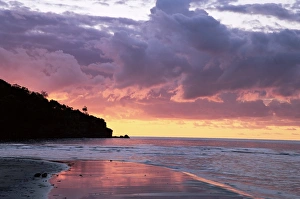 Freedom Prints: Cape Tribulation, Queensland, Australia, Pacific