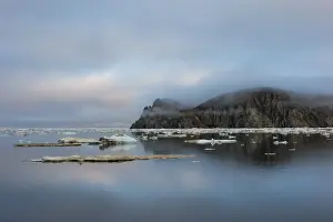 Chuckchi Sea Prints: Cape Waring, Wrangel Island, UNESCO World Heritage Site