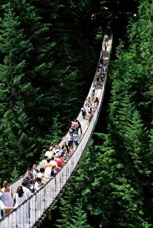 Wood Collection: The Capilano Suspension Bridge, Vancouver, British Columbia (B. C. ), Canada, North America