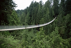 Images Dated 16th January 2000: Capilano Suspension Bridge, Vancouver, British Columbia, Canada, North America