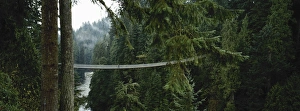 Images Dated 6th November 2009: Capilano Suspension Bridge, Vancouver, British Columbia, Canada, North America