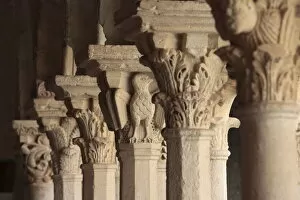 Images Dated 26th April 2010: Capitals in the Cloister of Saint Sauveur cathedral, Aix en Provence, Bouches du Rhone