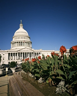 Washington Dc Prints: The Capitol Building from the east, Washington D