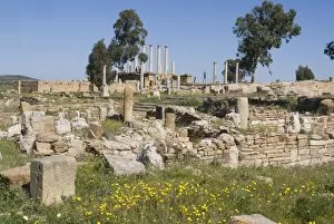 Images Dated 23rd March 2008: Capitolium (Temple to the three main gods), Roman ruin of Thuburbo Majus