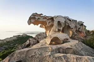 Images Dated 25th May 2009: Capo d Orso at sunset, Palau, Sardinia, Italy, Mediterranean, Europe