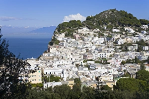 Capri town on Capri Island, Bay of Naples, Campania, Italy, Europe