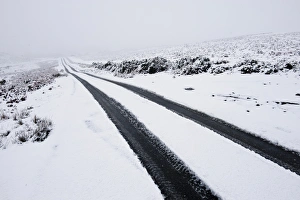 Powys Prints: Car tyre tracks on a snowy road on the Mynydd Epynt moorland, Powys, Wales, United Kingdom