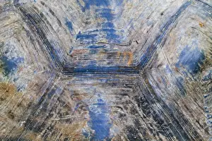 Isabela Island Prints: Detail of carapace, wild Galapagos tortoise (Geochelone elephantopus)