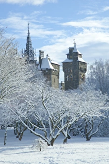 Fortified Walls Prints: Cardiff Castle in snow, Bute Park, South Wales, Wales, United Kingdom, Europe