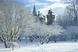 Images Dated 17th December 2010: Cardiff Castle in snow, Bute Park, South Wales, Wales, United Kingdom, Europe