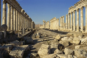 Cardo, Apamea, Syria, Middle East