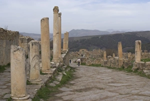 Images Dated 24th December 2007: Cardo (the main north south road), Roman site of Djemila, UNESCO World Heritage Site