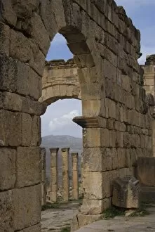 Cardo (the main north south road), Roman site of Djemila, UNESCO World Heritage Site