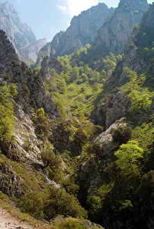 Eroded Prints: The Cares Gorge, Picos de Europa, Castilla y Leon, Spain, Europe