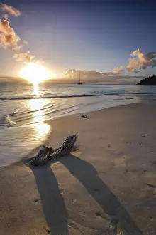 Antigua Prints: The Caribbean sunset frames the remains of tree trunks on Ffryes Beach, Antigua, Antigua