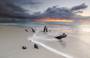 Antigua Prints: Caribbean sunset frames tree trunks on Ffryes Beach, Antigua, Antigua and Barbuda