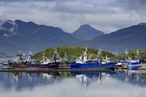 Carl E. Moses Boat Harbor, Dutch Harbor, Amaknak Island, Aleutian Islands, Alaska
