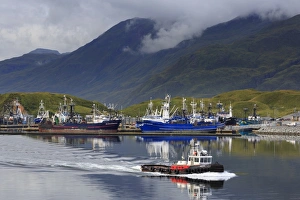 Alaskan Prints: Carl E. Moses Boat Harbor, Dutch Harbor, Amaknak Island, Aleutian Islands, Alaska
