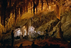 Stalactites Prints: Carlsbad Caverns