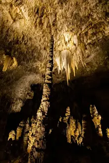 Stalagmite Prints: Carlsbad Caverns, The Big Room, UNESCO World Heritage Site, Carlsbad, New Mexico