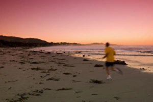 Images Dated 6th May 2009: Carmel by the Sea, California, United States of America, North America