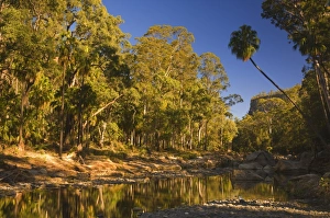 Carnarvon Creek, Carnarvon Gorge, Carnarvon National Park, Queensland, Australia, Pacific