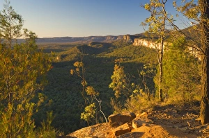 Carnarvon Gorge, Carnarvon National Park, Queensland, Australia, Pacific