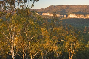 Carnarvon Gorge, Carnarvon National Park, Queensland, Australia, Pacific