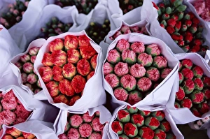 Bouquet Prints: Carnations, flower market, Mong Kok, Kowloon, Hong Kong, China, Asia