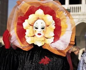 Carnival costume