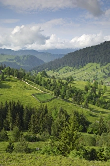 Romania Prints: Carpathian mountains of Moldavia and Southern Bucovina, north of Campulung Moldovenesc