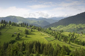 Images Dated 15th January 2000: Carpathian mountains north of Campulung Moldovenesc, Moldavia, Southern Bucovina