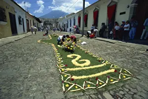 Holy Week Prints: Carpet of plants and flowers being laid on a street for one of the Easter processions