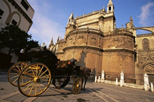 Santa Cruz Prints: Carriage waiting by cathedral