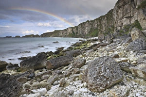 Images Dated 26th May 2009: Carrick-a-rede, County Antrim, Ulster, Northern Ireland, United Kingdom, Europe