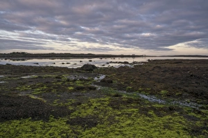 Typically Irish Prints: Carrickalegaun Bridge, Gorumna Island