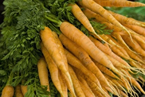 Carrot Prints: Carrots, market, Old Town, Prague, Czech Republic, Europe