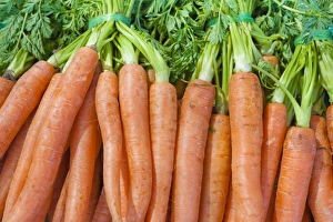 Pile Prints: Carrots for sale at the Sunday morning market