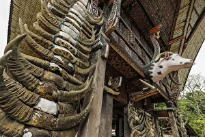 Toraja Prints: Carved head and horns of sacrificed buffalo