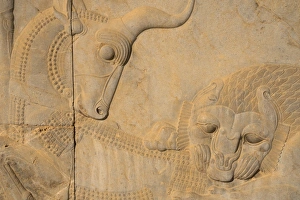 Carved relief of lion overcoming a bull, symbolising the advent of Spring and the Iranian New Year Carved relief of lion overcoming a bull, symbolising the advent of Spring and the Iranian New Year