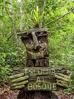Sculptures Prints: Carved wooden statues at the Dallas Manatee Rescue Center in Iquitos Peru showcase local artistry