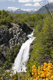 The Lake District Prints: Cascada Vullignanco along the Seven Lakes Drive, San Martin de los Andes, Nahuel