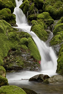 Cascade on Falls Creek, Chugach State Park, Alaska, United States of America