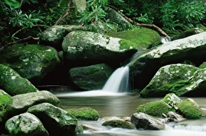 Images Dated 26th January 2009: Cascade, Great Smoky Mountains National Park