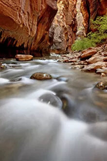 Wilderness Gallery: Cascade in The Narrows of the Virgin River, Zion National Park, Utah, United States of America