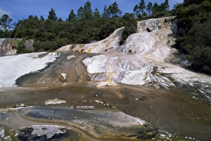 Thermal Area Prints: Cascade Terrace at Orakei Korako Thermals in the North