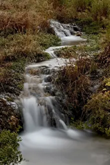 Uinta National Forest Prints: Cascades at Cascade Springs in the fall
