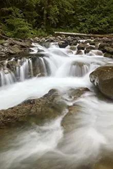 Washington Prints: Cascades on Deception Creek, Mount Baker-Snoqualmie National Forest, Washington