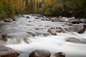 Images Dated 15th September 2009: Cascades on the Little Susitna River with fall colors, Hatcher Pass, Alaska
